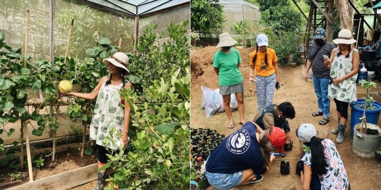 The Perfect Time to Get Into Organic Gardening in Bali