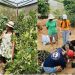 The Perfect Time to Get Into Organic Gardening in Bali