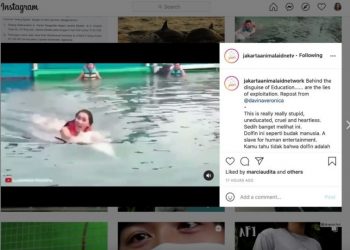 Swimming With a Dolphin at the Dolphin Lodge in Sanur, Lucinta Luna is Being Castigated by Netizens