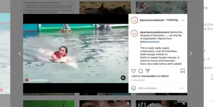 Swimming With a Dolphin at the Dolphin Lodge in Sanur, Lucinta Luna is Being Castigated by Netizens