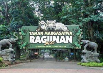 Ragunan Zoo, a Home to Over 3000 Animals and More Than 200 Species in Indonesia