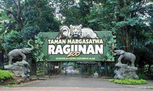 Ragunan Zoo, a Home to Over 3000 Animals and More Than 200 Species in Indonesia