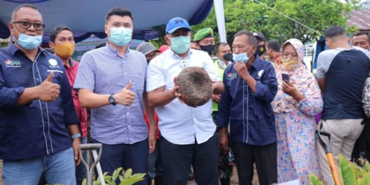 The Siak Regent Encourages Cultivation of Porang Plants to Improve Community Economy