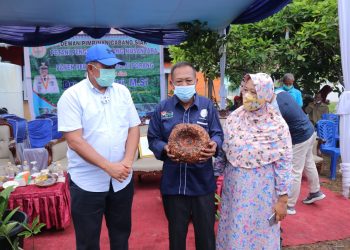 Alfedri Optimistic that Porang Can be Thrive in Siak Regency