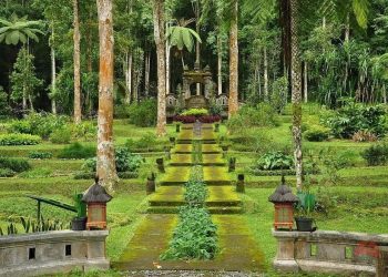 Bali Botanic Garden, Indonesia’s Largest Botanic Garden With Collection of Wild Orchids