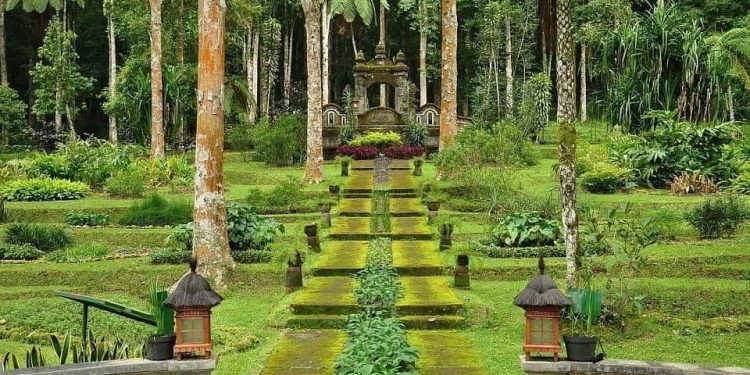 Bali Botanic Garden, Indonesia’s Largest Botanic Garden With Collection of Wild Orchids