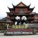 The Panda Castle, a Park to Welcomed Giant Panda from China