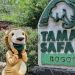 Taman Safari Bogor