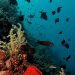 Takabonerate National Park, One of the Best Marine Tourism Objects in South Sulawesi Province