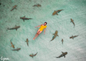 Wayag Island, The Raja Ampat Icon