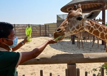 Through Safari Park, Indonesians Getting Education About on Animal Welfare