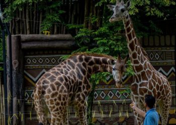 The City Government of Bandung Reopens Tourist Attractions