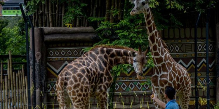 The City Government of Bandung Reopens Tourist Attractions