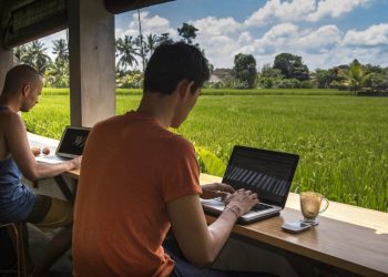 Experts are Criticizing the Central Government’s Work From Bali Initiative