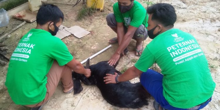 BAZNAS Siak Livestock Center Fills the Orders for Processed Meat Dishes