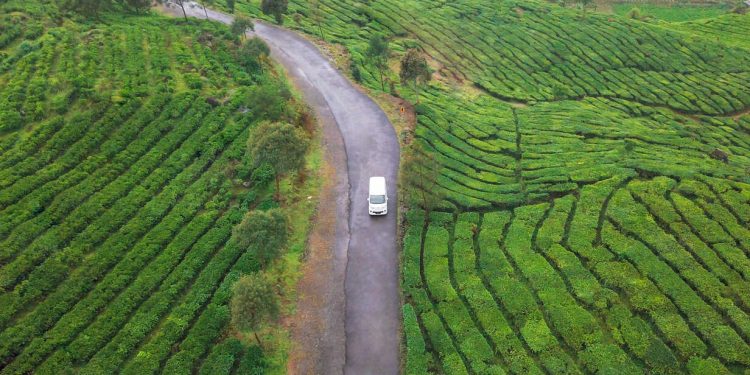 Rancabali, the Green Paradise at South Bandung
