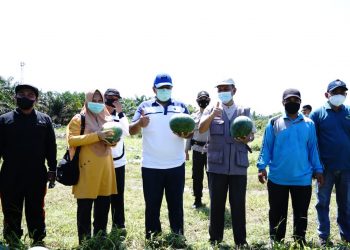 The Regent of Siak Asks Residents to be Productive in the Covid-19 Pandemic Season