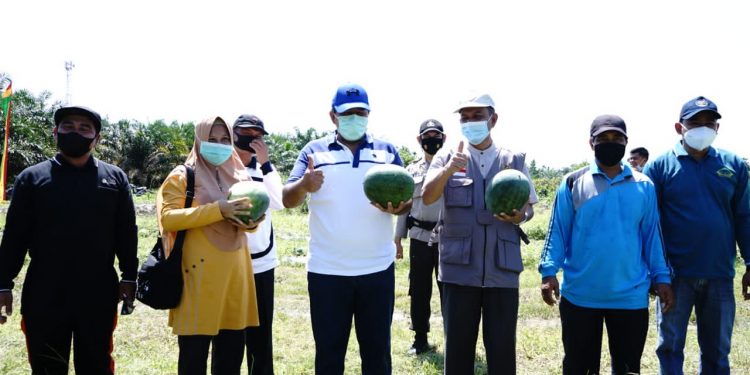 The Regent of Siak Asks Residents to be Productive in the Covid-19 Pandemic Season