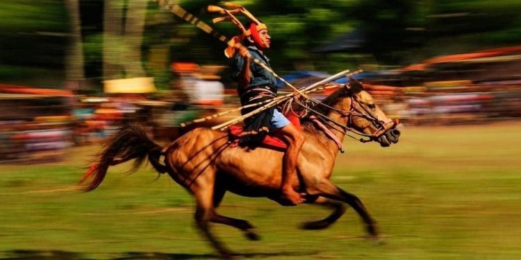 A Ride to Heaven: The Reason Why Sumba Loves the Sandalwood Pony