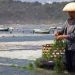 Aquaculture for People of the Penida Archipelago as They Wait for Tourists’ Return