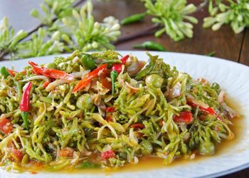 Garo Bunga Pepaya (Garo Papaya Flower)