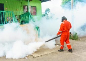 Toxicologists have Warned of the Dangers of Mosquito Repellent