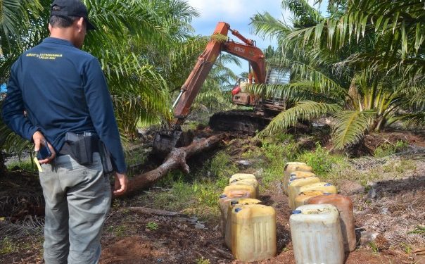 Hentikan Perambahan Hutan di Siak, Petugas Amankan Alat Berat dan 2 Orang Buruh