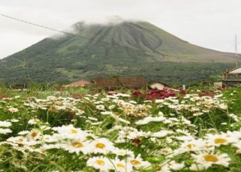 The Town of Thousand Flowers at Kota Seribu Bunga Tomohon, North Sulawesi