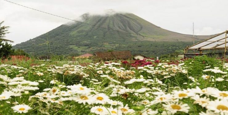 The Town of Thousand Flowers at Kota Seribu Bunga Tomohon, North Sulawesi