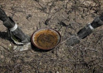 Bedekeh, One of Akit Tribal Ritual on Rupat Island in the Bengkalis Regency