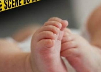 Mengenaskan, Bayi Mungil Ditemukan di Tong Sampah