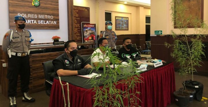 Tanam Ganja di Rumah Hingga 6 Pot, Seorang Pria Dicokok Polisi