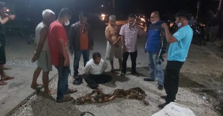 Polda Riau Ringkus Pemburu Harimau Sumatra dan Janin Rusa