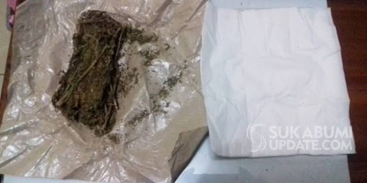 Tak Berkutik, Satnarkoba Bengkalis Ringkus 2 Warga Mandau Pemilik sabu dan Ganja Kering