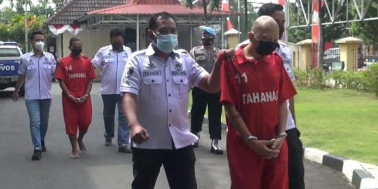 Tanam Pohon Ganja dalam Pot Lalu Dijual, 2 Petani Semarang Digulung Polisi