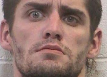 Pria yang Dihukum karena Bersetubuh dengan Kuda Kabur dari Penjara