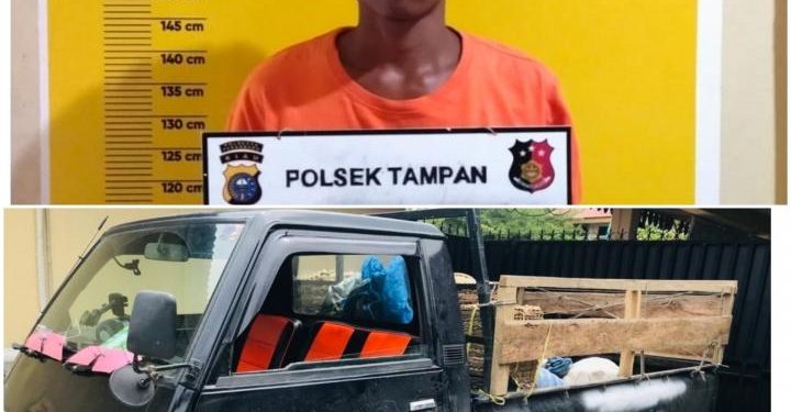 Motifnya Ingin Punya mobil, Karyawan Depot Air Isi Ulang Pekanbaru ini Nekat Larikan L300 milik Majikan