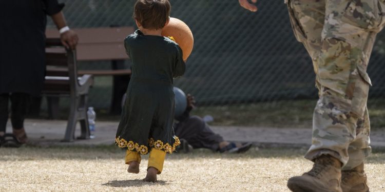 Bocah Afghanistan Ini Tewas di Pusat Penampungan Pengungsi Polandia Setelah Makan Jamur Beracun