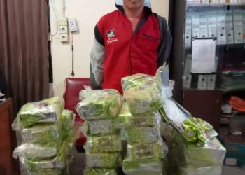Hendak Kirim Sabu 46 Kg ke Bengkalis, Pria ini Diringkus di Pelabuhan