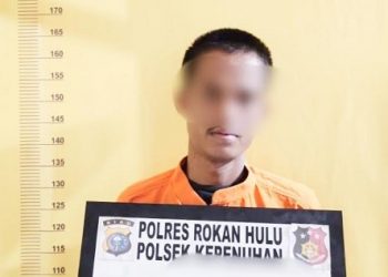 Dilaporkan Curi Dinamo dan Mesin Bor, Pria Pengangguran di Pekan Tebih Rohul Diciduk Polisi