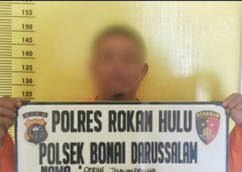 Gelapkan Uang Hasil Penjualan Sawit, Pria Ini Diringkus Polsek Bonai Darussalam