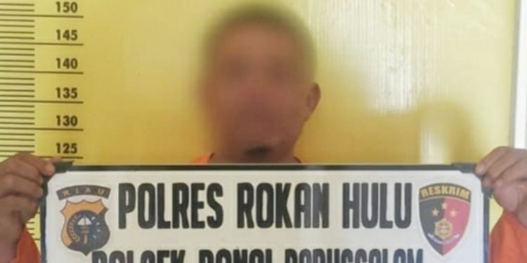 Gelapkan Uang Hasil Penjualan Sawit, Pria Ini Diringkus Polsek Bonai Darussalam