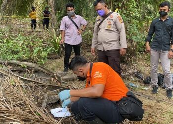 Diduga Dibunuh, Bocah di Inhu Ditemukan Tewas di Kebun Sawit