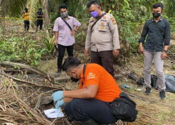 Kesal Dijawab dengan Kata-kata Kasar, Karyawan Sawit di INHU Tega Penggal Kepala Bocah 13 Tahun