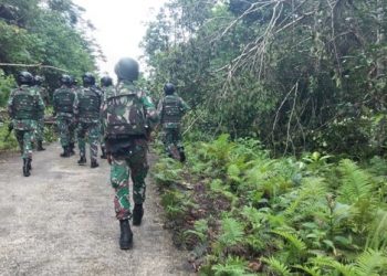 Lima Pucuk Senjata Milik KST yang Ditangkap Berasal dari PNG