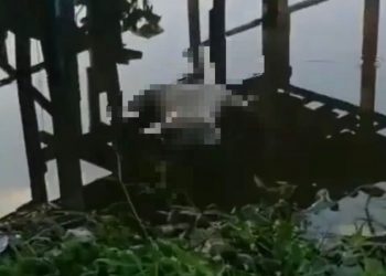 Geger, Warga Kembali Temukan Mayat Mengapung di Sungai Siak Pekanbaru