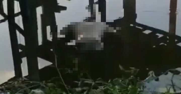 Geger, Warga Kembali Temukan Mayat Mengapung di Sungai Siak Pekanbaru