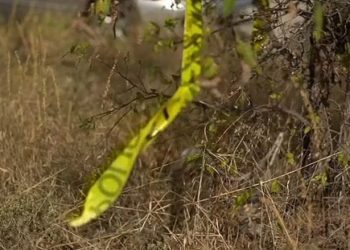 Petugas Pemadam Kebakaran Menemukan Mayat Pria, Wanita dan Seorang Anak yang Terpotong-potong di Dalam Tong Sampah