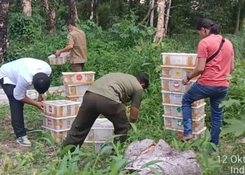 Tim BBKSDA Riau Gagalkan Penyelundupan 840 Burung Tidak Berdokumen