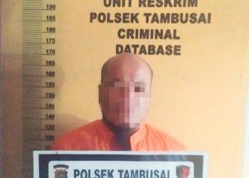 Curi Sawit lalu Kabur, Bule Akhirnya Diringkus Polisi di Padang Lawas